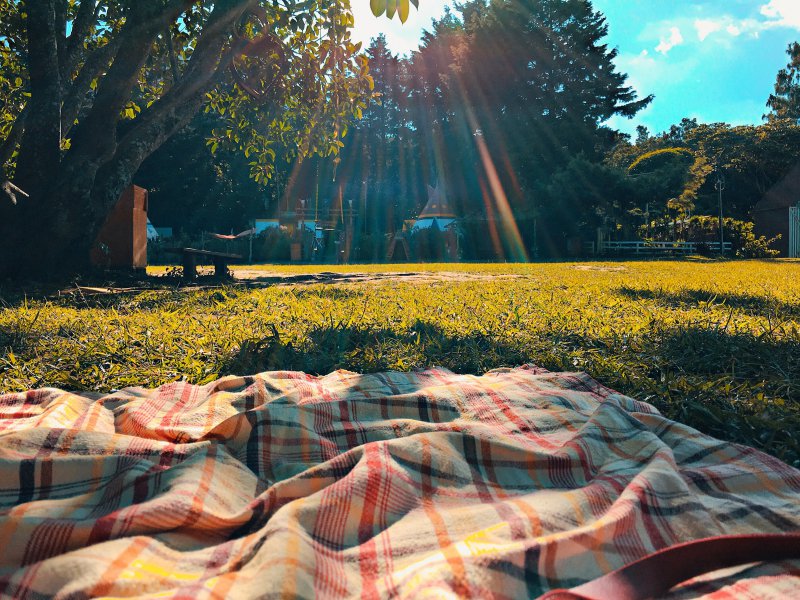 Picknickdecke auf sonniger Wiese