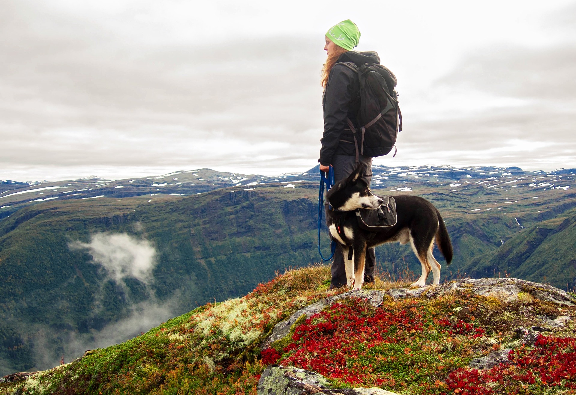 Mensch, Hund, wandern, laufen