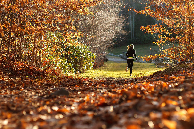 Frau laeuft bei herbstlichem Wetter im Wald mit Laufhandschuhen