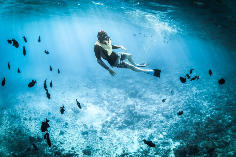 Schnorchler mit Flossen in der Unterwasserwelt