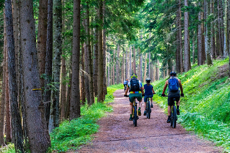 Trekking E-Bike Familienausflug