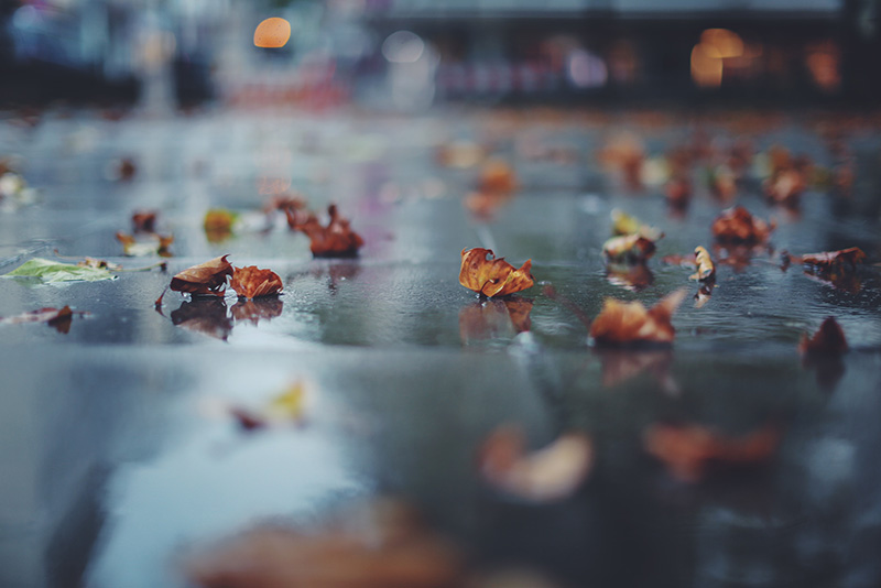 Straße im Regen mit Blättern