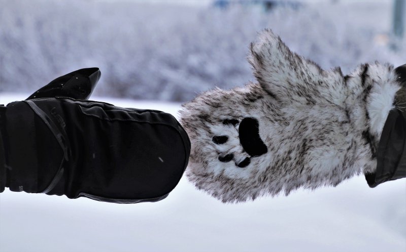 Skihandschuhe im Test