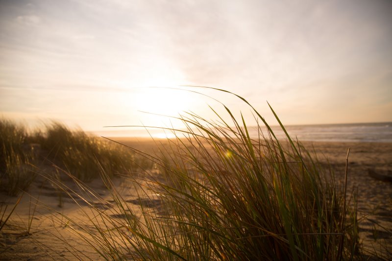 Wind weht am Strand beim Camping ohne Windschutz