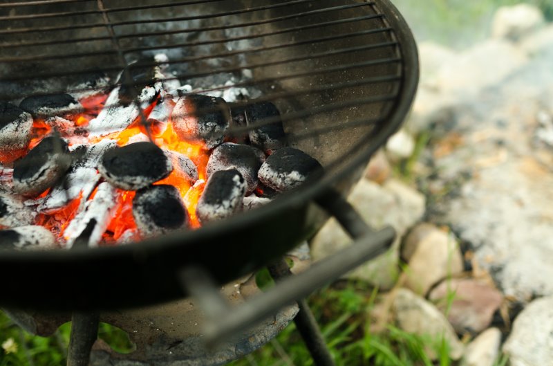 Grillkohle im Test