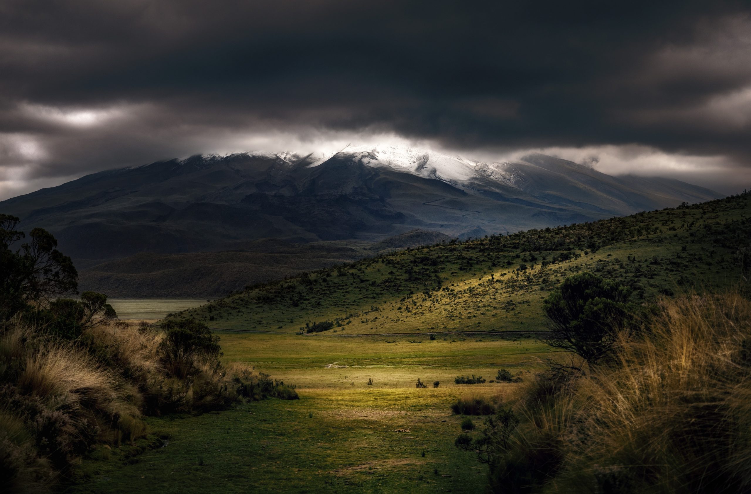 Grüne Landschaft