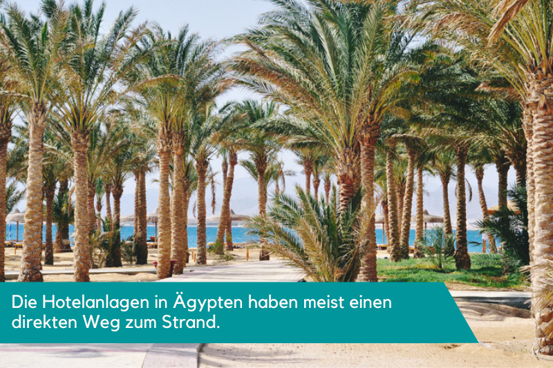 Ägypten der Palmenweg vom Hotel zum Strand