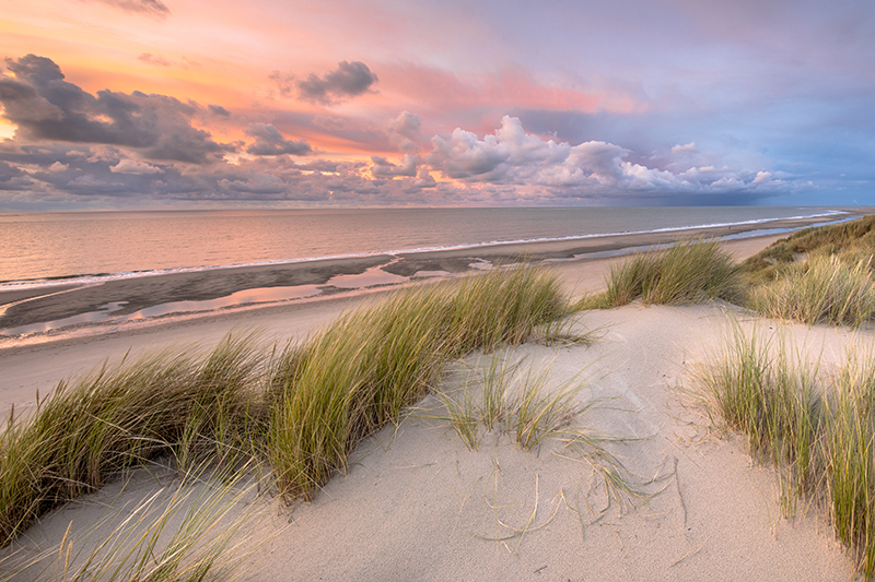 Nordseestrand bei Sonnenuntergang mit Schilf und Dünen.