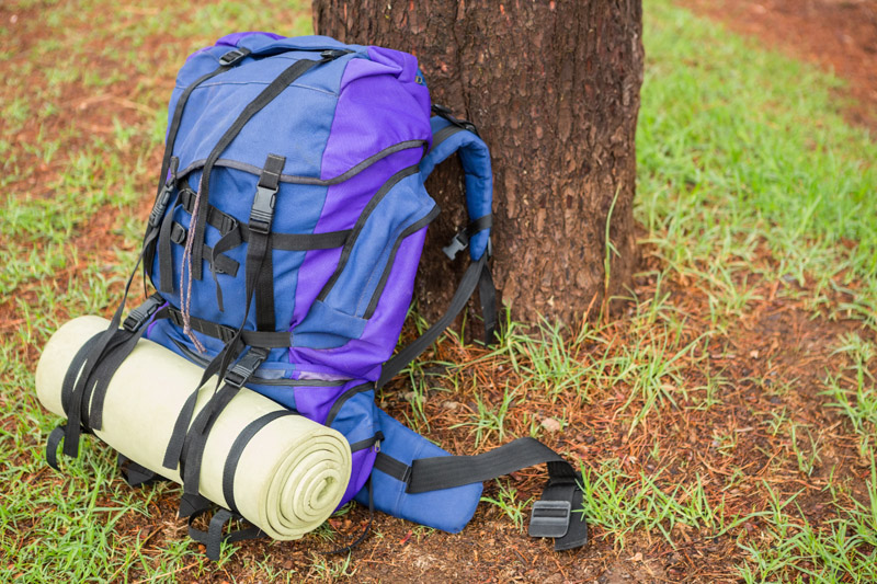 Gepackter Wanderrucksack, der an einem Baum lehnt