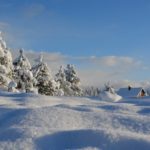 schneebedeckte Landschaft