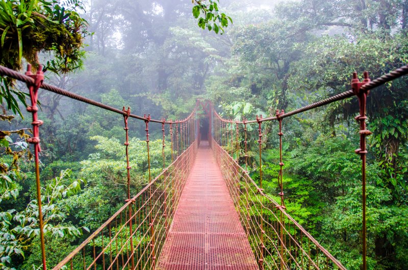 Hängebrücke im Nebelwald von Costa Rica 